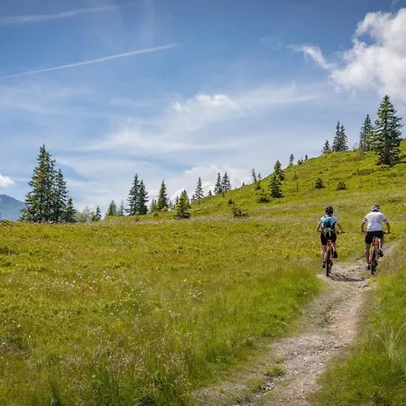 Zillertal By Alps 4*